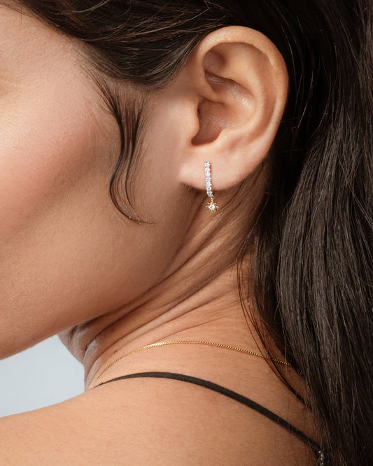 Dia Stud Dangler Earring hover image