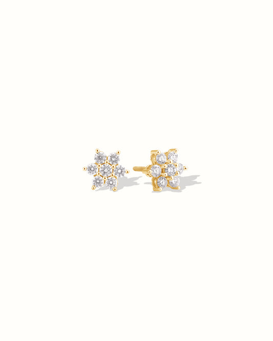 Nakshatra Studs