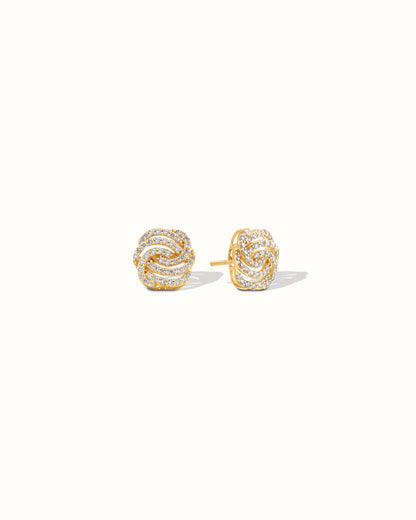 Shiny Fusion Earrings