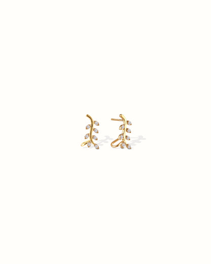 Leaf Climber Earrings